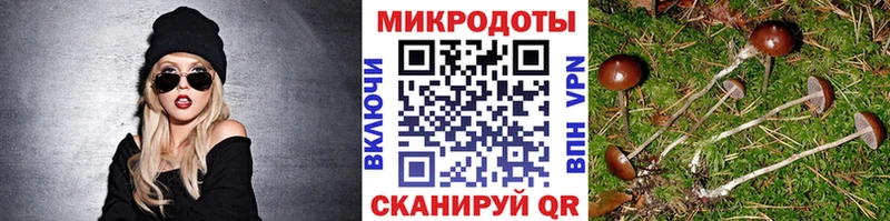 Купить закладки  Цимлянск  Псилоцибиновые грибы Psilocybine cubensis 
